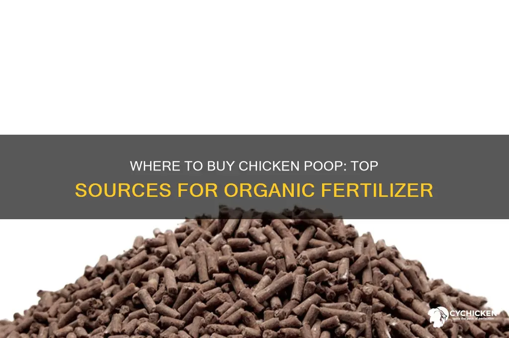 where can i buy chicken poop