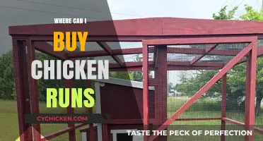Best Places to Purchase High-Quality Chicken Runs for Your Flock