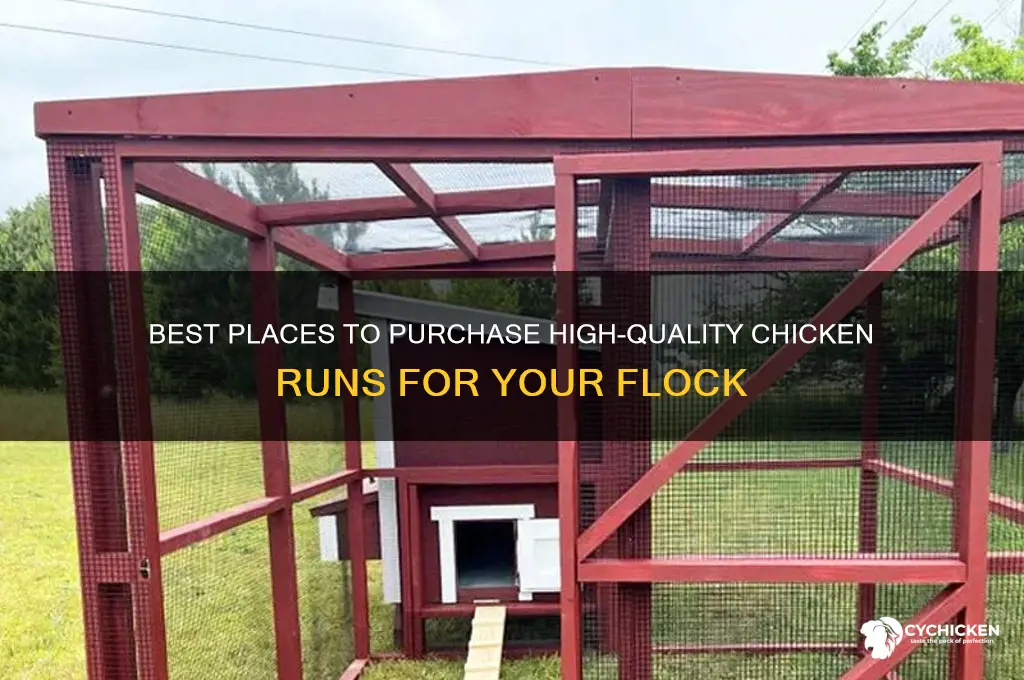 where can i buy chicken runs
