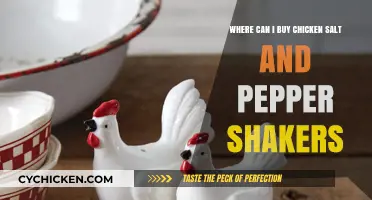 Where to Buy Unique Chicken Salt and Pepper Shakers