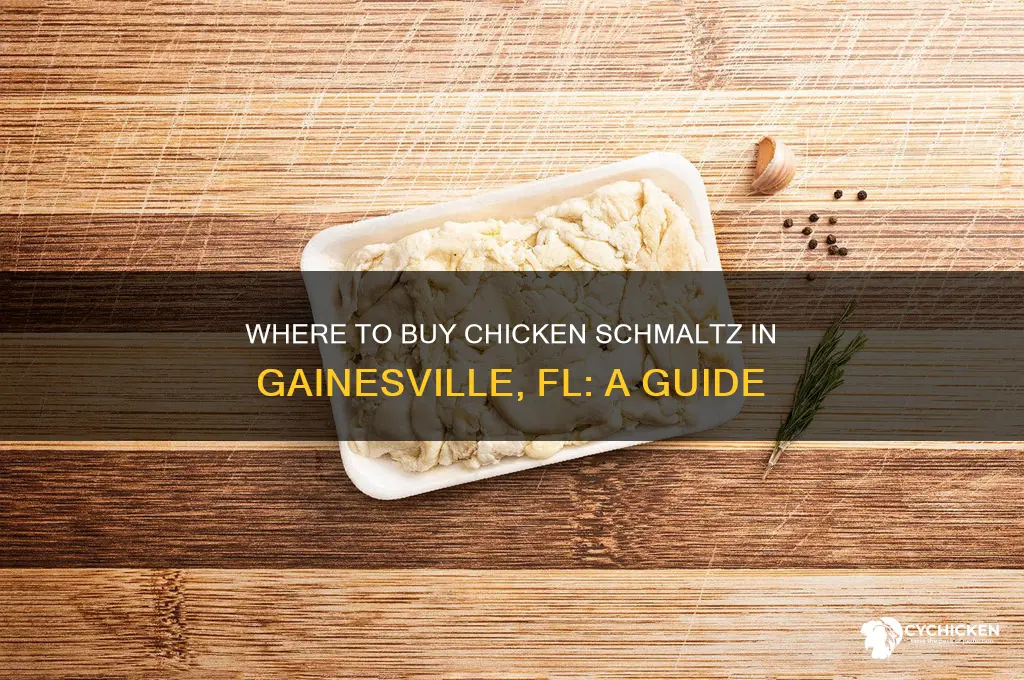 where can i buy chicken schmaltz in gainesville fl