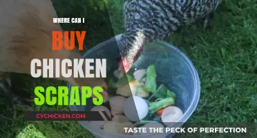 Where to Buy Chicken Scraps for Cooking and Pets: A Guide