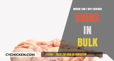 Bulk Chicken Skins: Top Retailers and Wholesale Suppliers for Purchase