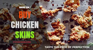 Where to Buy Chicken Skins: Top Retailers and Online Options