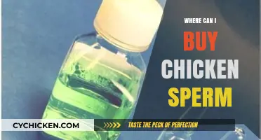 Where to Purchase Chicken Sperm: A Comprehensive Buying Guide