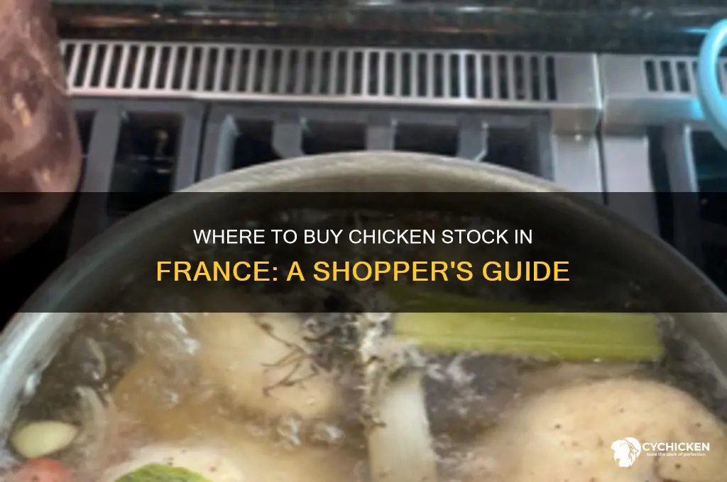 where can i buy chicken stock in france