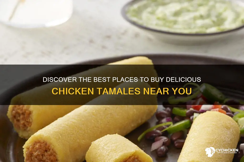 where can i buy chicken tamales