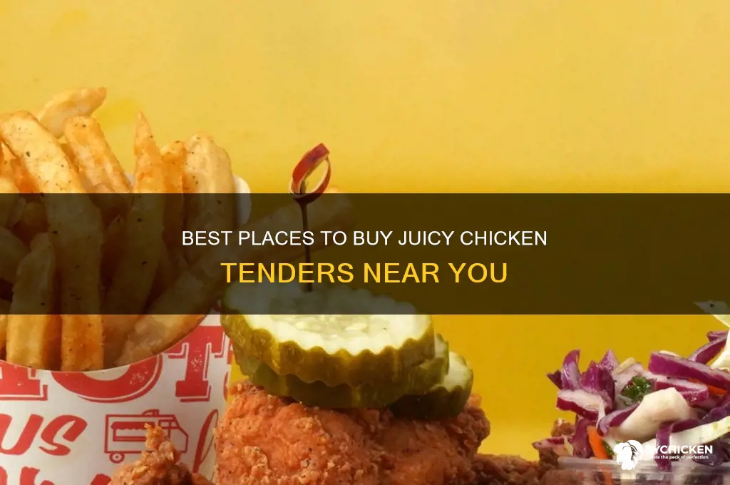 where can i buy chicken tenders
