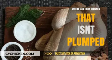 Finding Natural Chicken: Where to Buy Unplumped Poultry Options