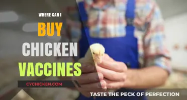 Where to Buy Chicken Vaccines: A Comprehensive Guide for Poultry Owners