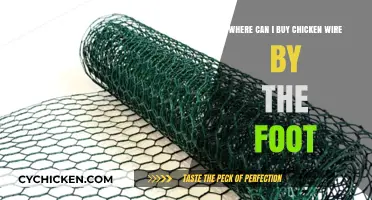 Where to Buy Chicken Wire by the Foot: Top Retailers and Tips