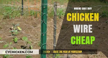 Affordable Chicken Wire: Top Places to Buy Cheaply Online & Locally