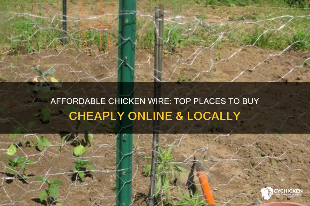 where can i buy chicken wire cheap