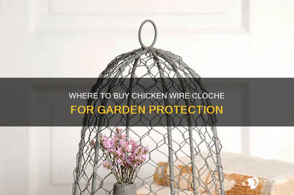 where can i buy chicken wire cloche