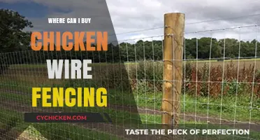 Where to Buy Chicken Wire Fencing: Top Retailers and Online Options