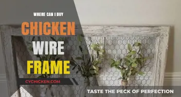 Where to Buy Chicken Wire Frames: Top Retailers and Online Options