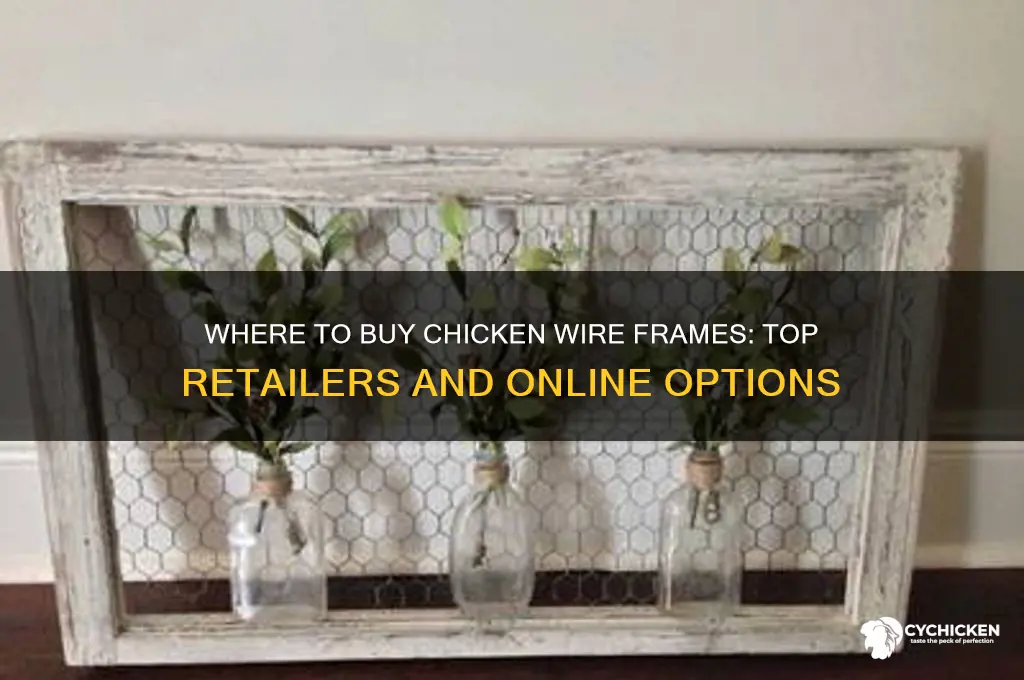 where can i buy chicken wire frame