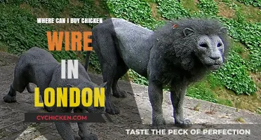 Where to Buy Chicken Wire in London: Top Stores and Tips