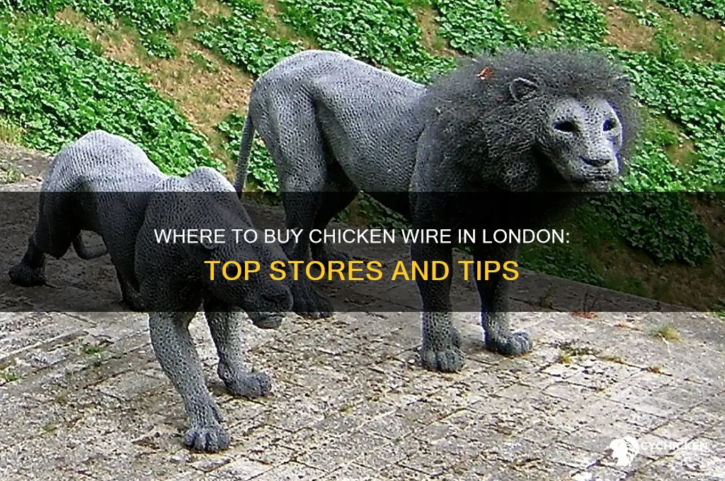 where can i buy chicken wire in london