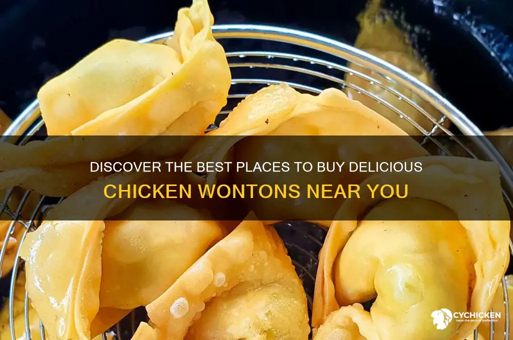 where can i buy chicken wontons