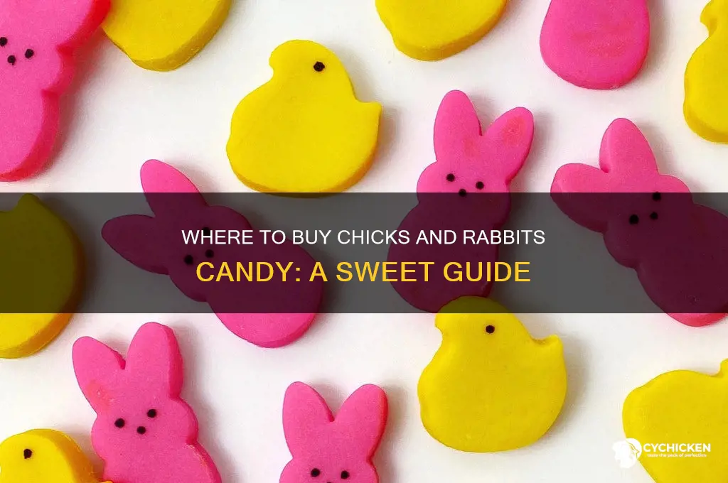 where can i buy chicks and rabbits candy