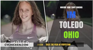 Where to Buy Chicks in Toledo, Ohio: Your Local Guide
