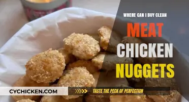 Where to Buy Clean, Healthy Chicken Nuggets: Top Retailers Guide