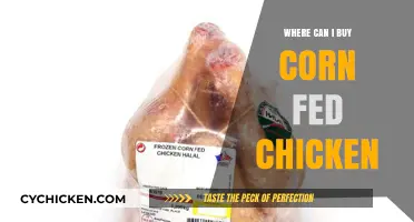 Where to Buy Corn-Fed Chicken: Top Retailers and Farms
