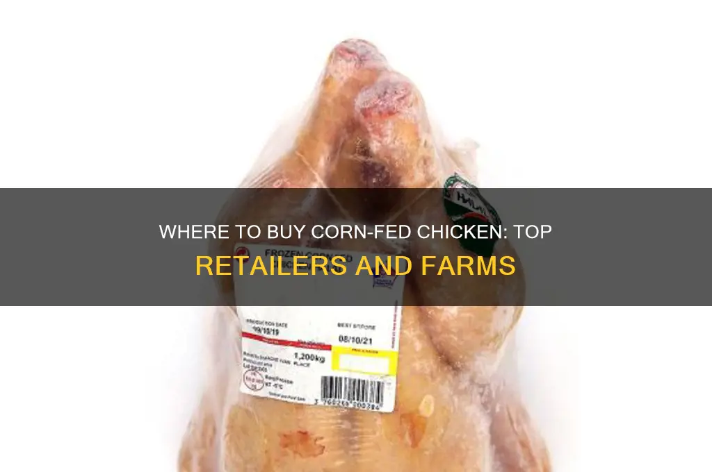 where can i buy corn fed chicken