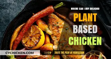 Discover Top Spots to Buy Delicious Plant-Based Chicken Alternatives