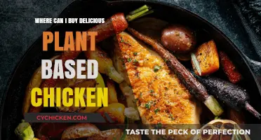 Discover the Best Spots to Buy Mouthwatering Plant-Based Chicken