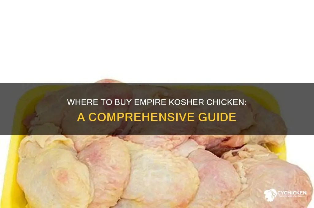 where can i buy empire kosher chicken