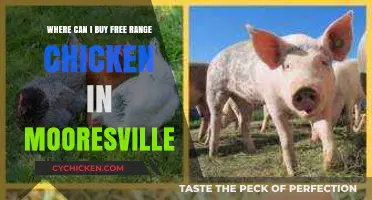 Discover Fresh Free-Range Chicken in Mooresville: Top Local Sources