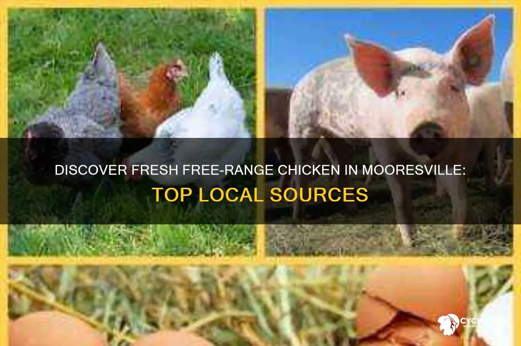 where can i buy free range chicken in mooresville