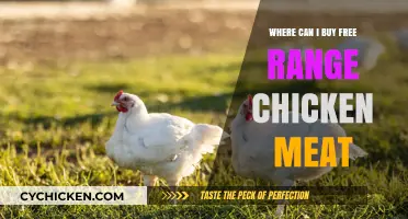 Discover Top Sources for Buying Free Range Chicken Meat