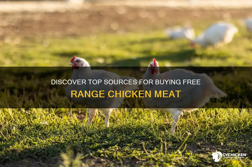 where can i buy free range chicken meat
