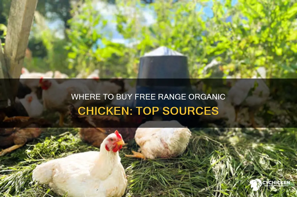 where can i buy free range organic chicken