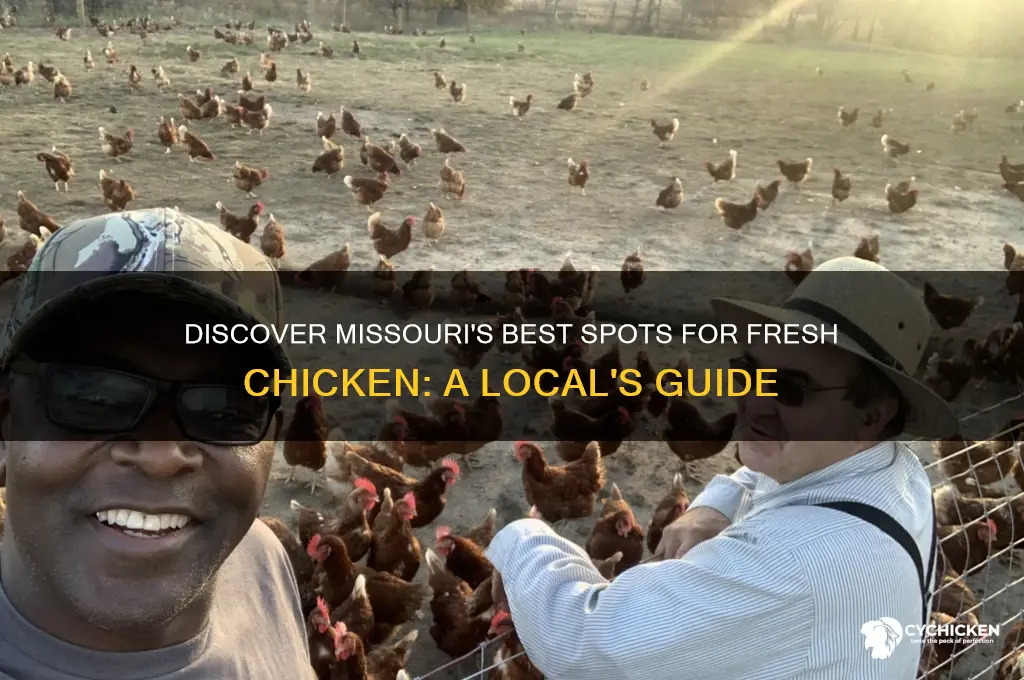 where can i buy fresh chicken in mo