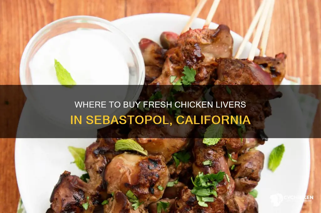 where can i buy fresh chicken livers sebastopol california
