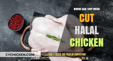 Where to Buy Fresh Cut Halal Chicken: Top Local & Online Options
