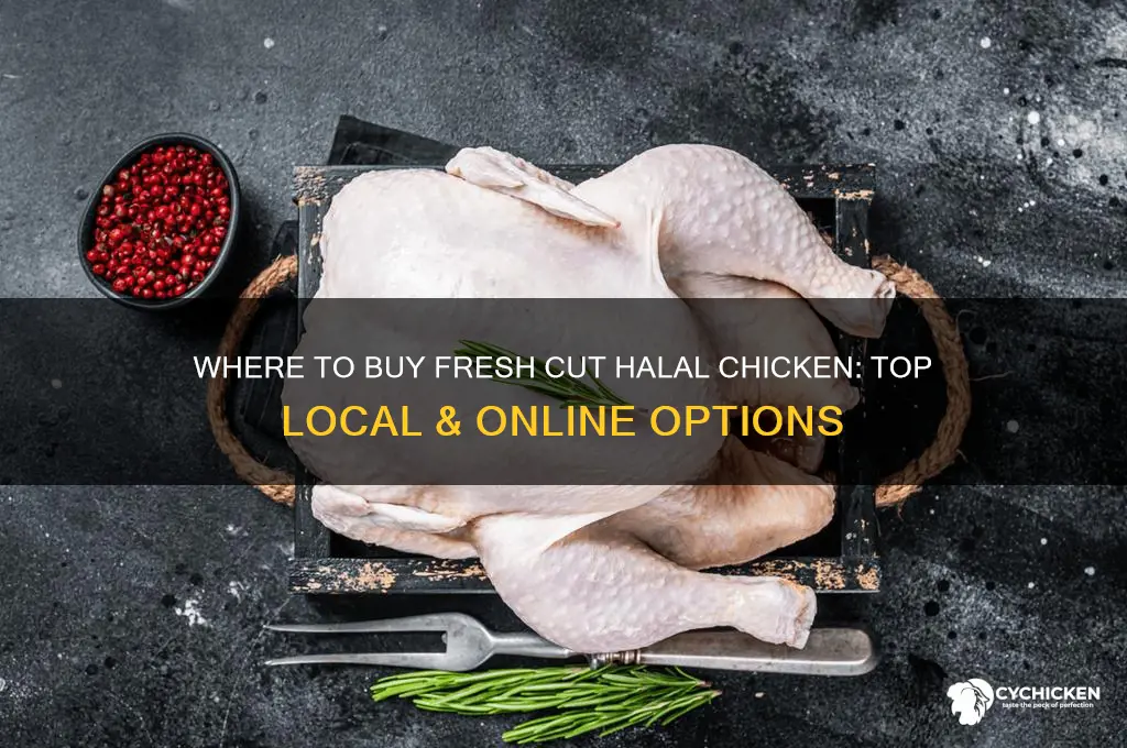 where can i buy fresh cut halal chicken