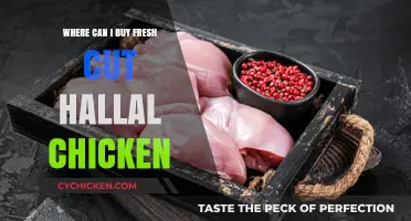 Where to Buy Fresh Cut Halal Chicken: Top Local & Online Options