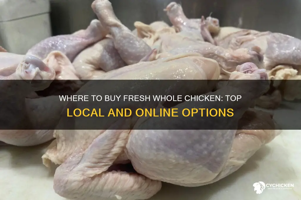 where can i buy fresh whole chicken