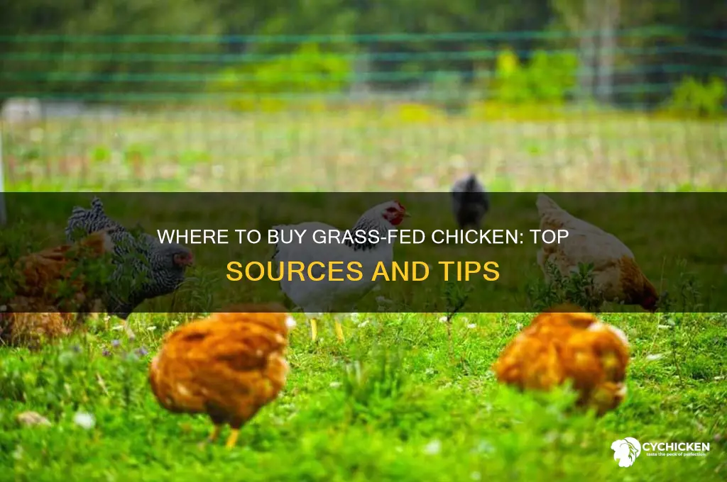 where can i buy grass fed chicken