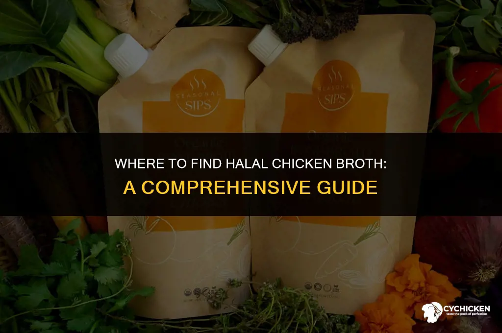 where can i buy halal chicken broth
