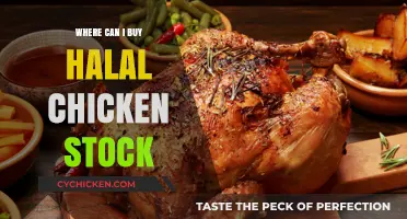 Where to Buy Halal Chicken Stock: Top Retailers and Brands