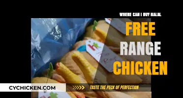 Where to Buy Halal Free-Range Chicken: A Comprehensive Guide