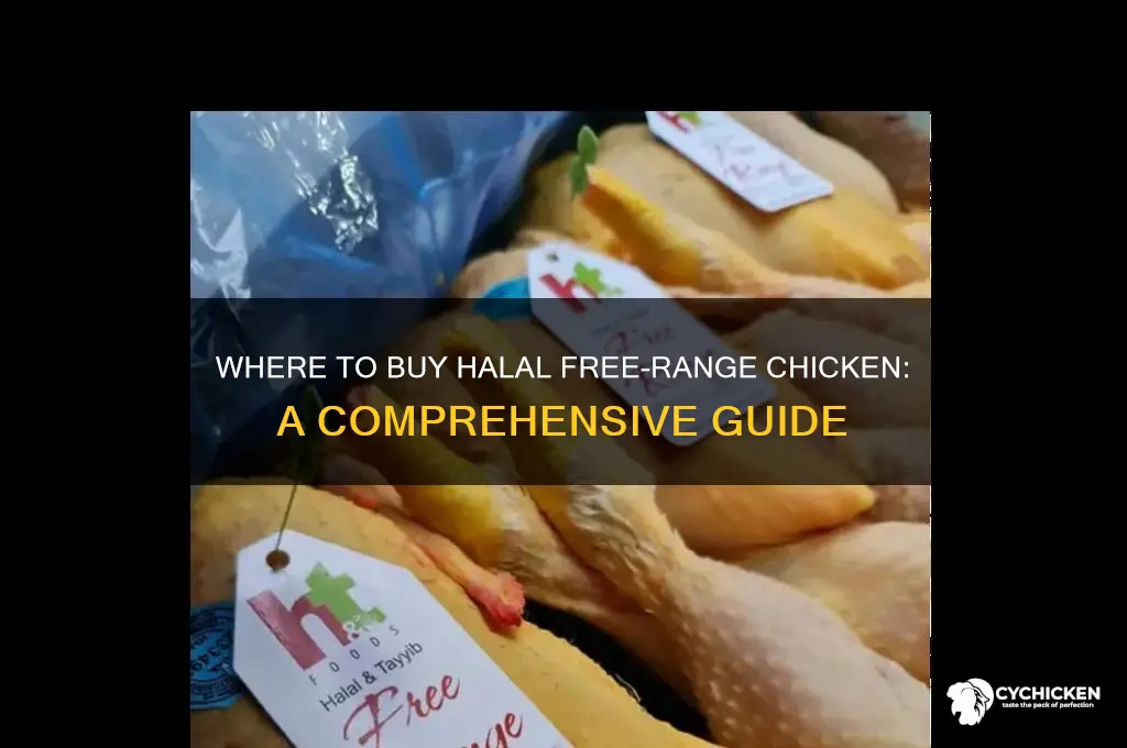 where can i buy halal free range chicken
