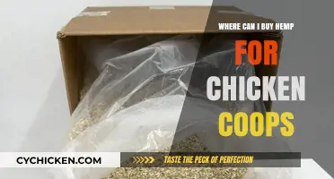 Where to Buy Hemp Bedding for Chicken Coops: Top Sources