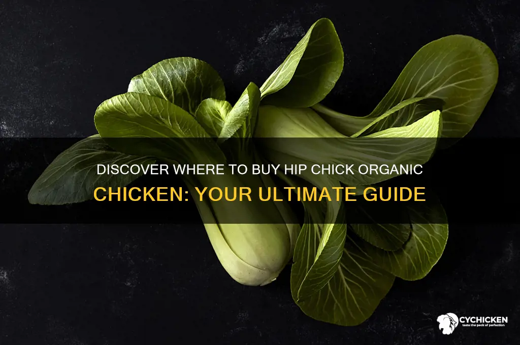 where can i buy hip chick organic chicken